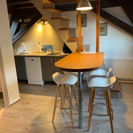 Appartement Duplex 2A Rue D'Alspach Colmar Exteriér fotografie